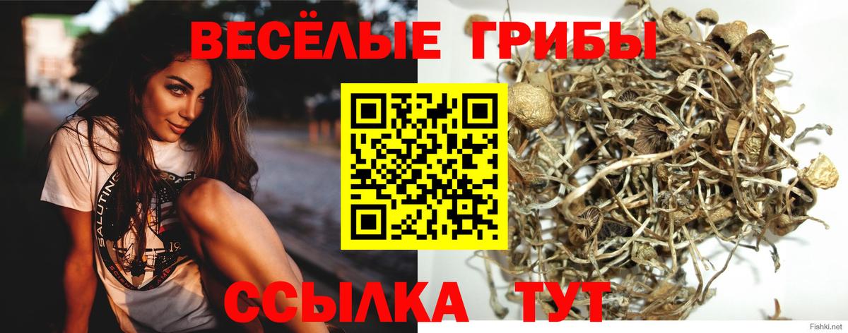 Псилоцибиновые грибы мухоморы  Вход с VPN  Галлюциногенные грибы Cubensis  Углич 